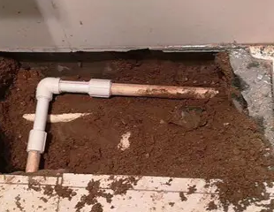 青阳测漏水哪家好