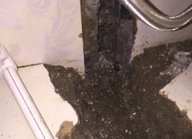 青阳卫生间测漏水哪家好