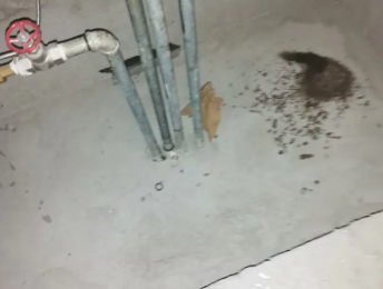 青阳卫生间测漏水价格明细