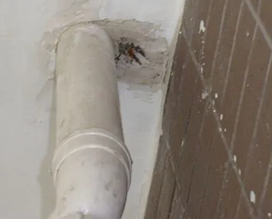 青阳漏水检测哪家好